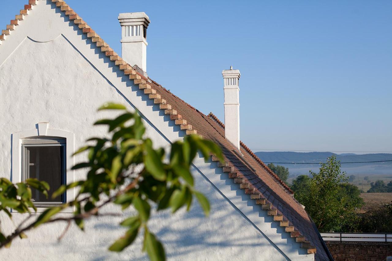 Grand Balaton House Villa Kovagoors Екстериор снимка